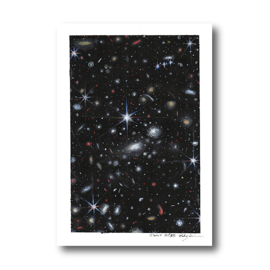 'NASA' print