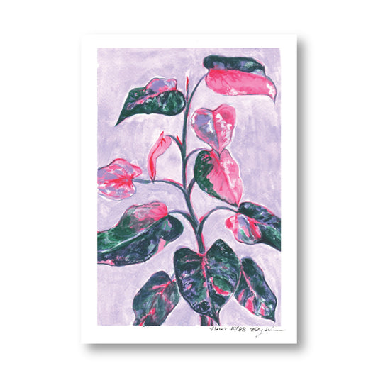 'Pink Princess' print